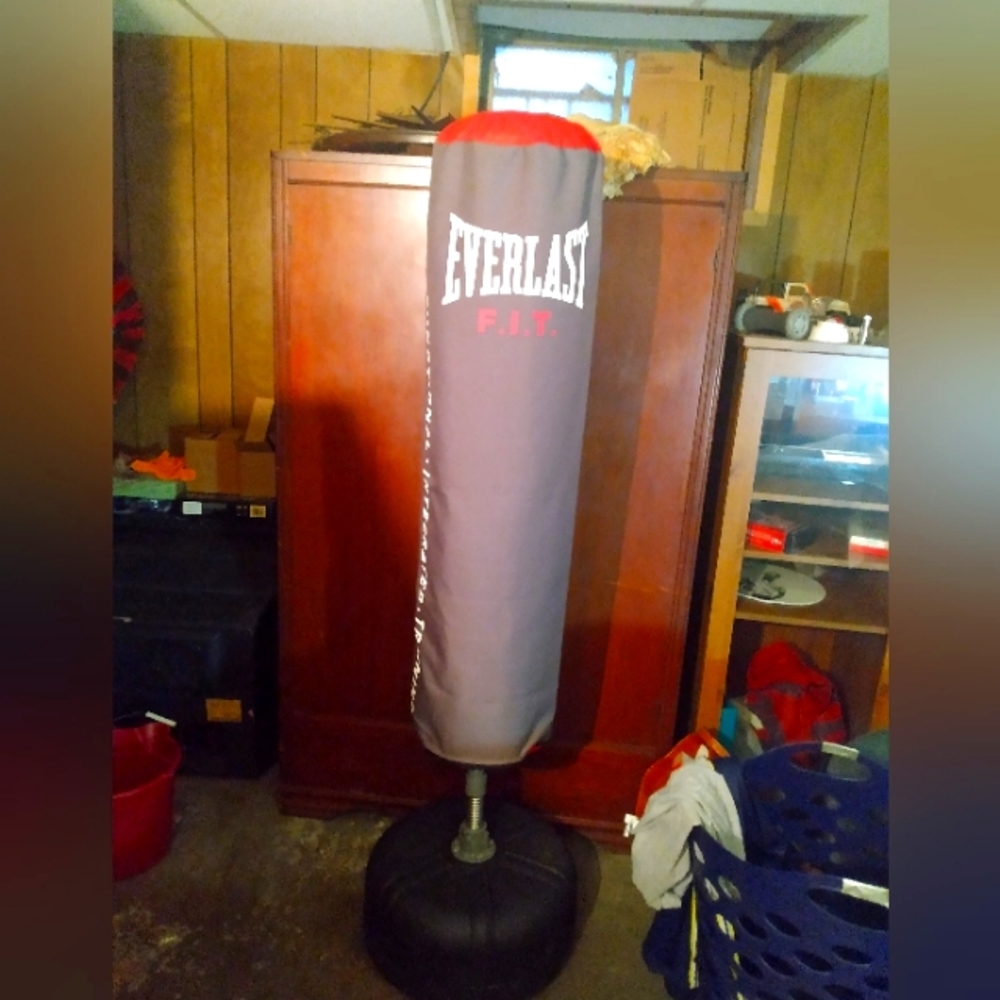 F.I.T EVERFLEX CARDIO STRIKE BAG